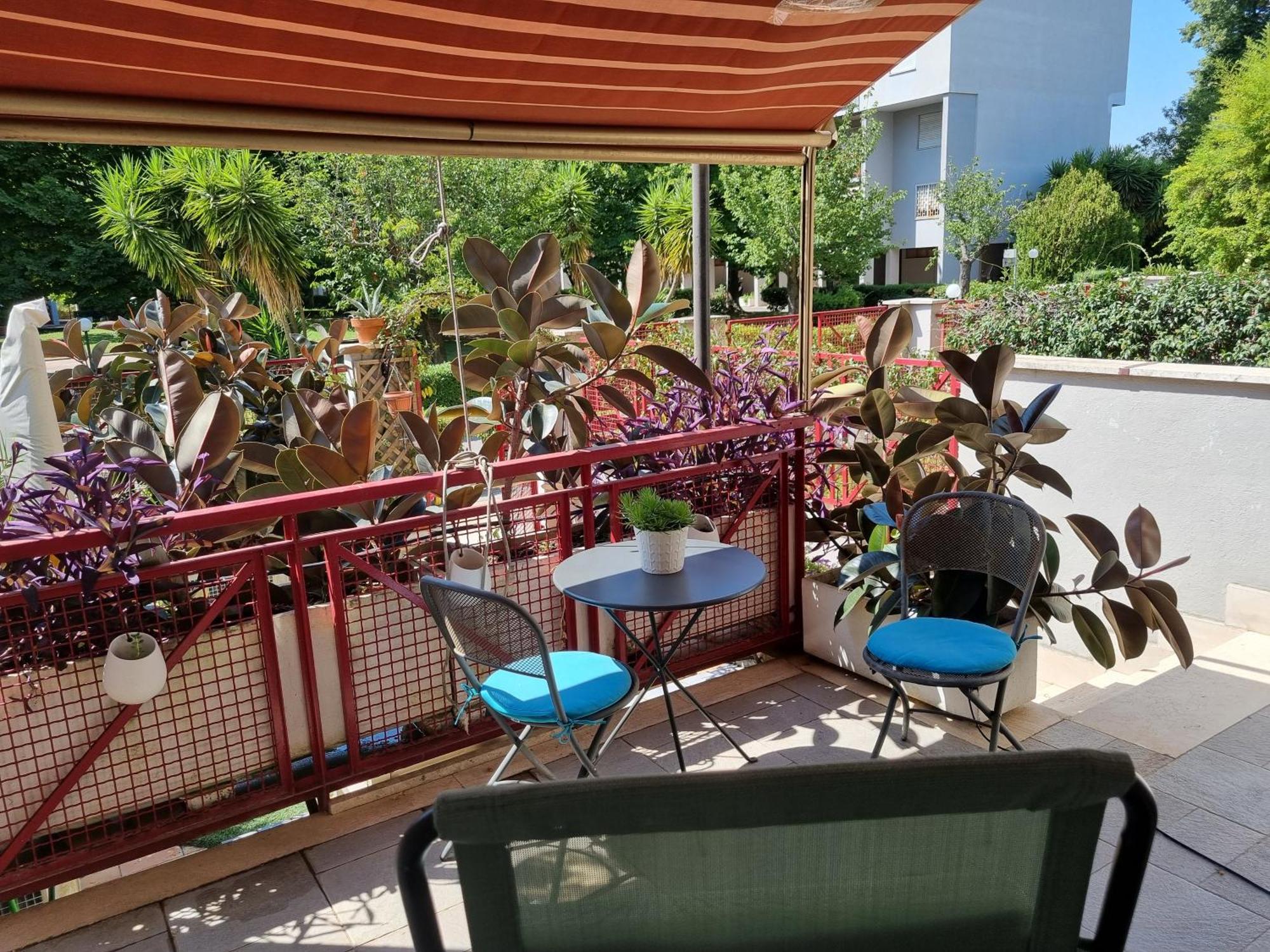 Intero Appartamento Con Giardino E Parcheggio Рим Экстерьер фото