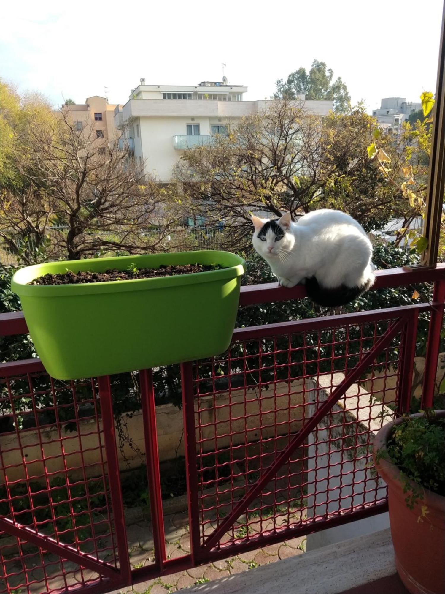 Intero Appartamento Con Giardino E Parcheggio Рим Экстерьер фото